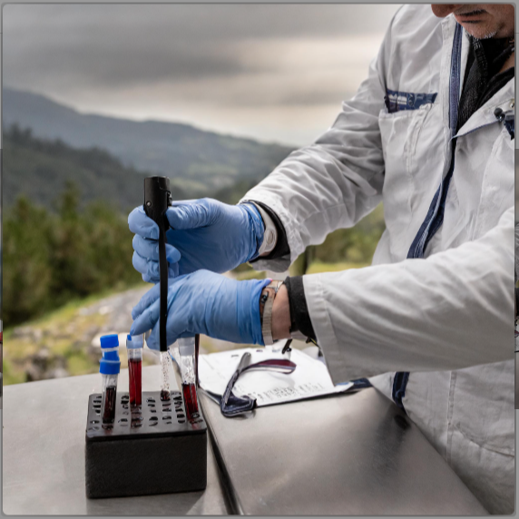 Exploring the Physiological Impact of Thru-Hiking: Insights from Blood Draws Before and After the Trail